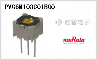 PVC6M103C01B00