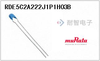 RDE5C2A222J1P1H03B