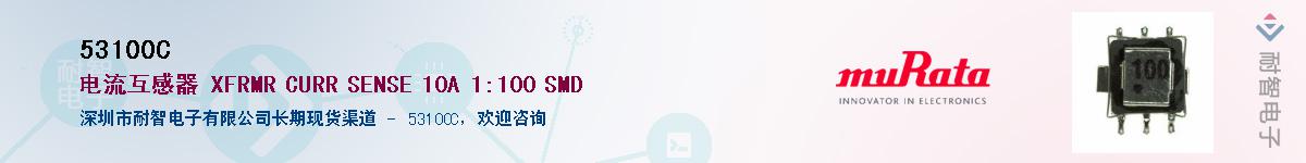 53100C������-�������