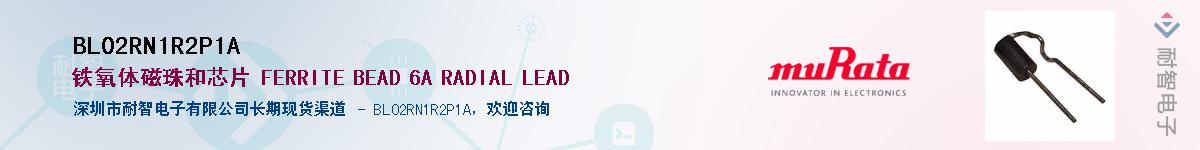 BL02RN1R2P1A����(y��ng)��-�������