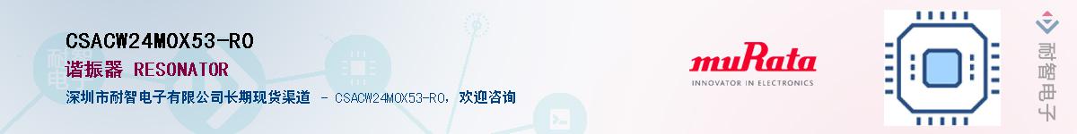 CSACW24M0X53-R0������-�������