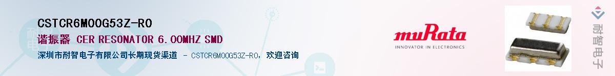 CSTCR6M00G53Z-R0����(y��ng)��-�������