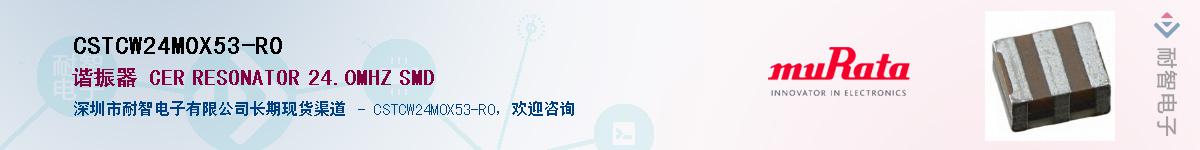 CSTCW24M0X53-R0����(y��ng)��-�������