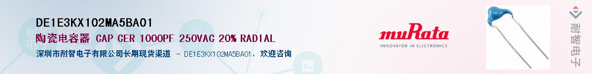 DE1E3KX102MA5BA01������-�������