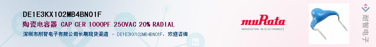 DE1E3KX102MB4BN01F������-�������