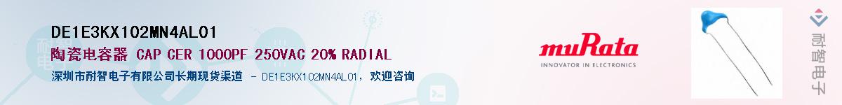 DE1E3KX102MN4AL01������-�������