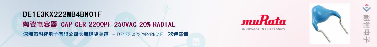 DE1E3KX222MB4BN01F������-�������