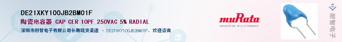 DE21XKY100JB2BM01F������-�������