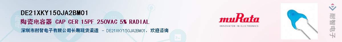 DE21XKY150JA2BM01������-�������