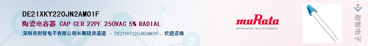 DE21XKY220JN2AM01F������-�������