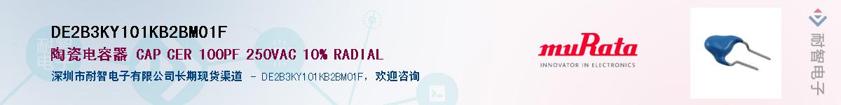 DE2B3KY101KB2BM01F����(y��ng)��-�������