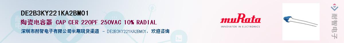 DE2B3KY221KA2BM01����(y��ng)��-�������