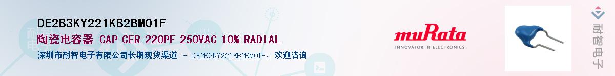 DE2B3KY221KB2BM01F������-�������