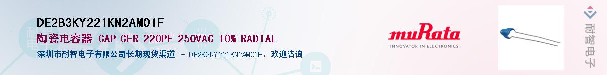 DE2B3KY221KN2AM01F����(y��ng)��-�������