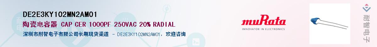 DE2E3KY102MN2AM01����(y��ng)��-�������