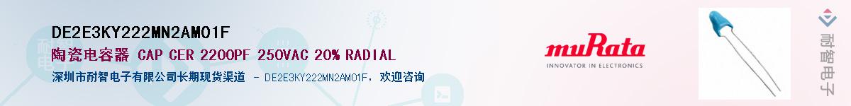 DE2E3KY222MN2AM01F������-�������