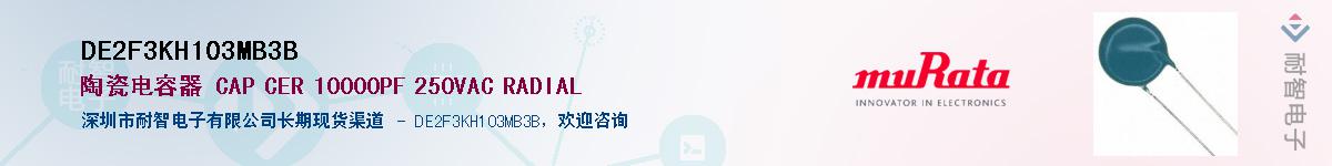 DE2F3KH103MB3B������-�������