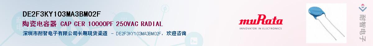 DE2F3KY103MA3BM02F������-�������