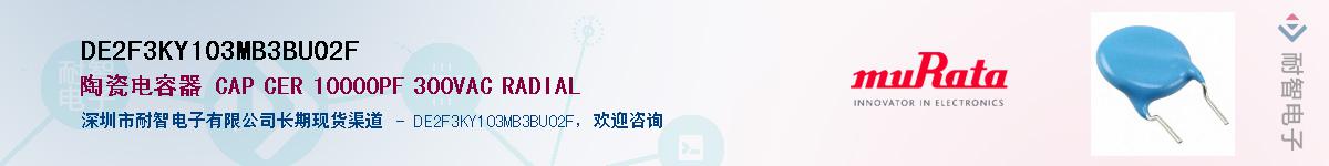 DE2F3KY103MB3BU02F������-�������