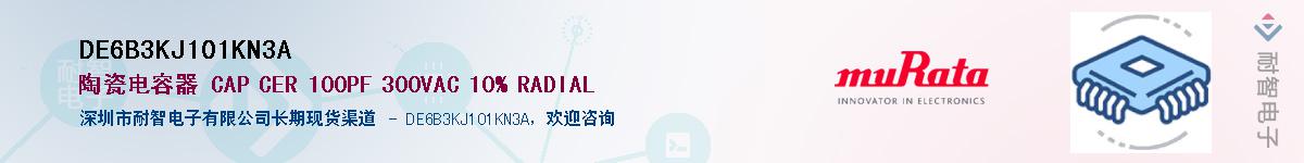 DE6B3KJ101KN3A������-�������