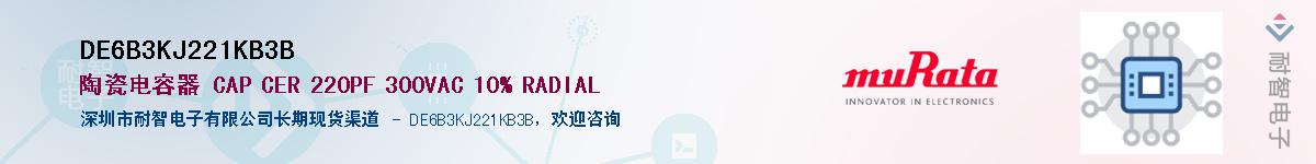 DE6B3KJ221KB3B����(y��ng)��-�������