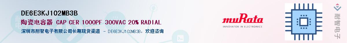DE6E3KJ102MB3B������-�������