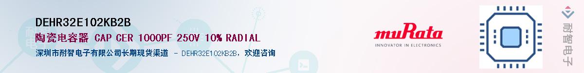 DEHR32E102KB2B������-�������