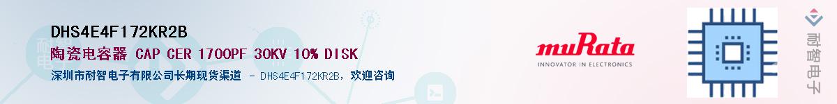 DHS4E4F172KR2B������-�������