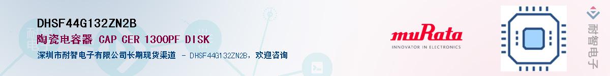 DHSF44G132ZN2B������-�������