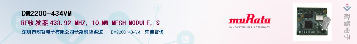 DM2200-434VM������-�������