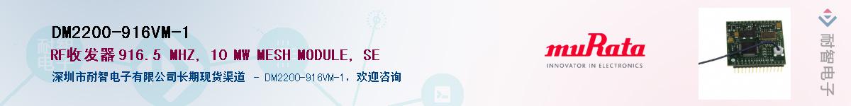 DM2200-916VM-1������-�������