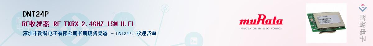 DNT24P������-�������