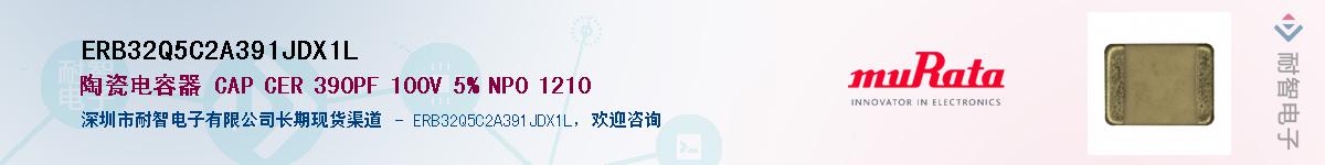 ERB32Q5C2A391JDX1L������-�������