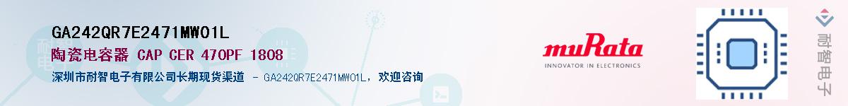 GA242QR7E2471MW01L������-�������