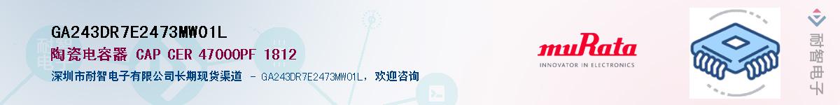 GA243DR7E2473MW01L������-�������