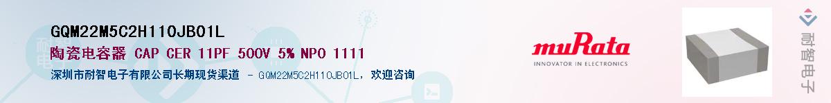 GQM22M5C2H110JB01L������-�������