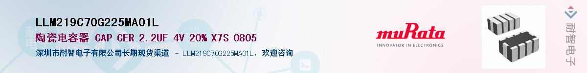 LLM219C70G225MA01L������-�������