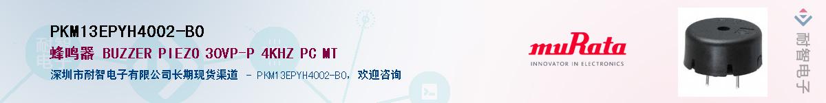 PKM13EPYH4002-B0������-�������