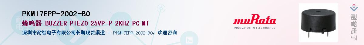 PKM17EPP-2002-B0������-�������