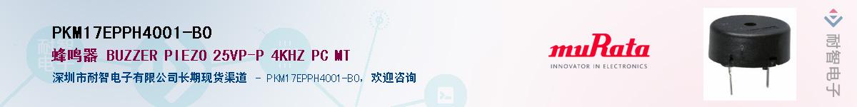 PKM17EPPH4001-B0����(y��ng)��-�������