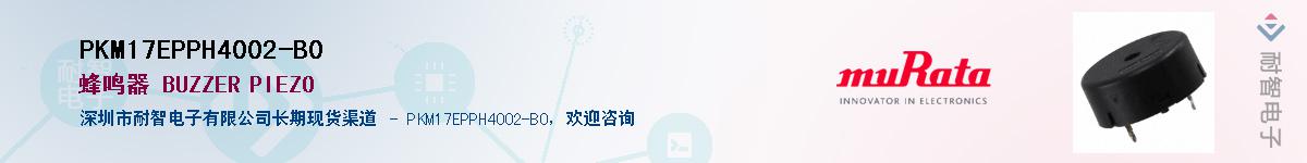 PKM17EPPH4002-B0������-�������