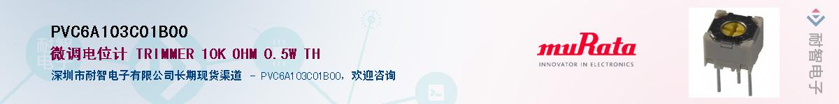 PVC6A103C01B00������-�������