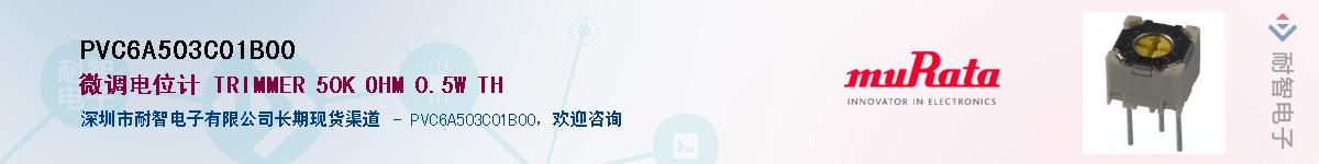 PVC6A503C01B00������-�������