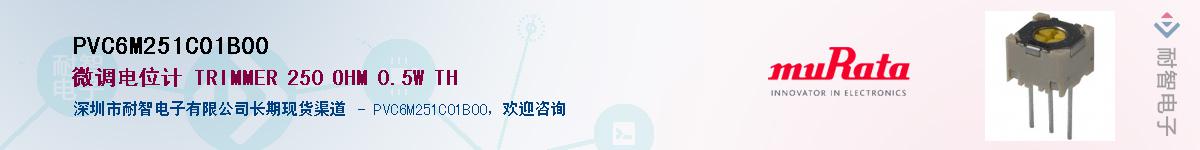 PVC6M251C01B00������-�������