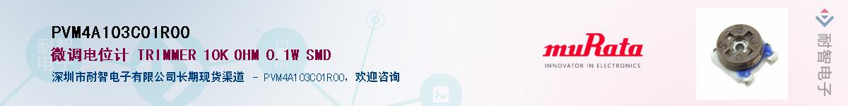 PVM4A103C01R00������-�������