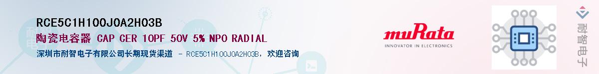 RCE5C1H100J0A2H03B����(y��ng)��-�������