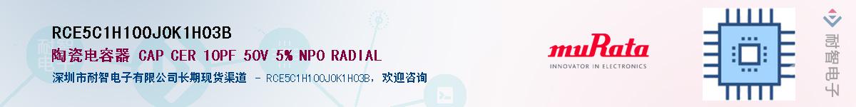 RCE5C1H100J0K1H03B������-�������