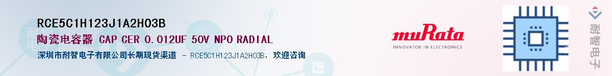 RCE5C1H123J1A2H03B������-�������