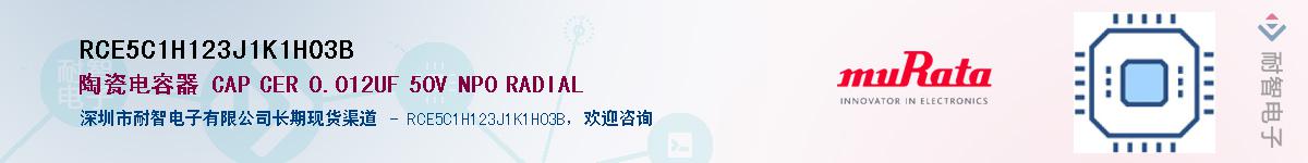 RCE5C1H123J1K1H03B����(y��ng)��-�������