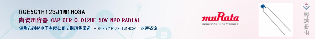 RCE5C1H123J1M1H03A������-�������